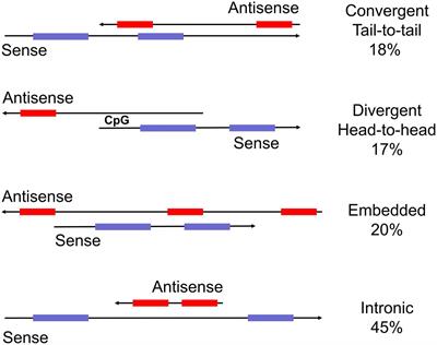 Natural Antisense Transcripts at the Interface between Host Genome and Mobile Genetic Elements